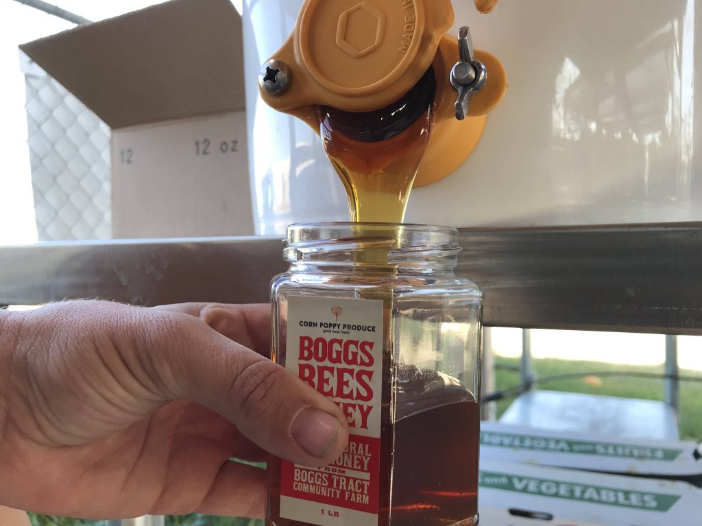 Filling Honey 1